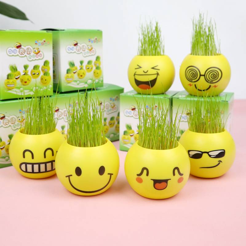 The plant's face is 20